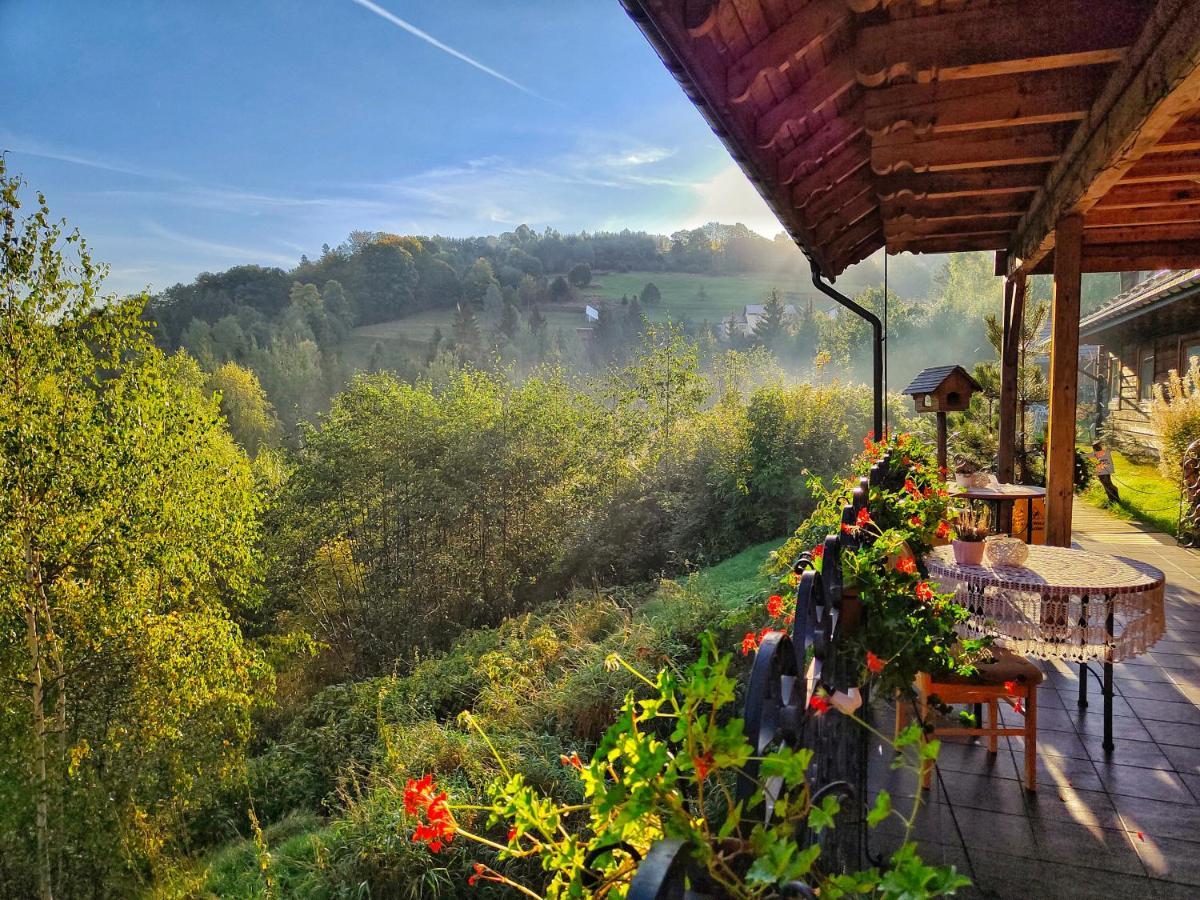Bed and Breakfast Czarna Owca Istebna Exterior foto